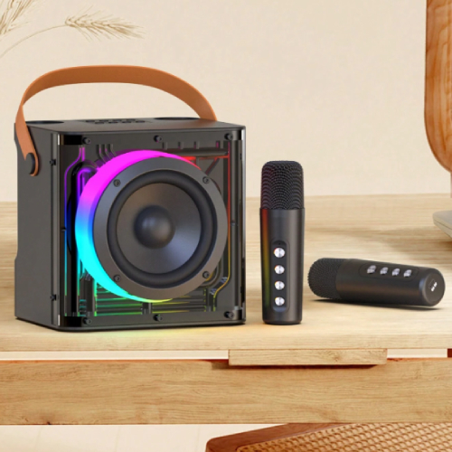 HAVIT Audio Series-Bluetooth speaker With 2 x Wireless Microphones-image-358674